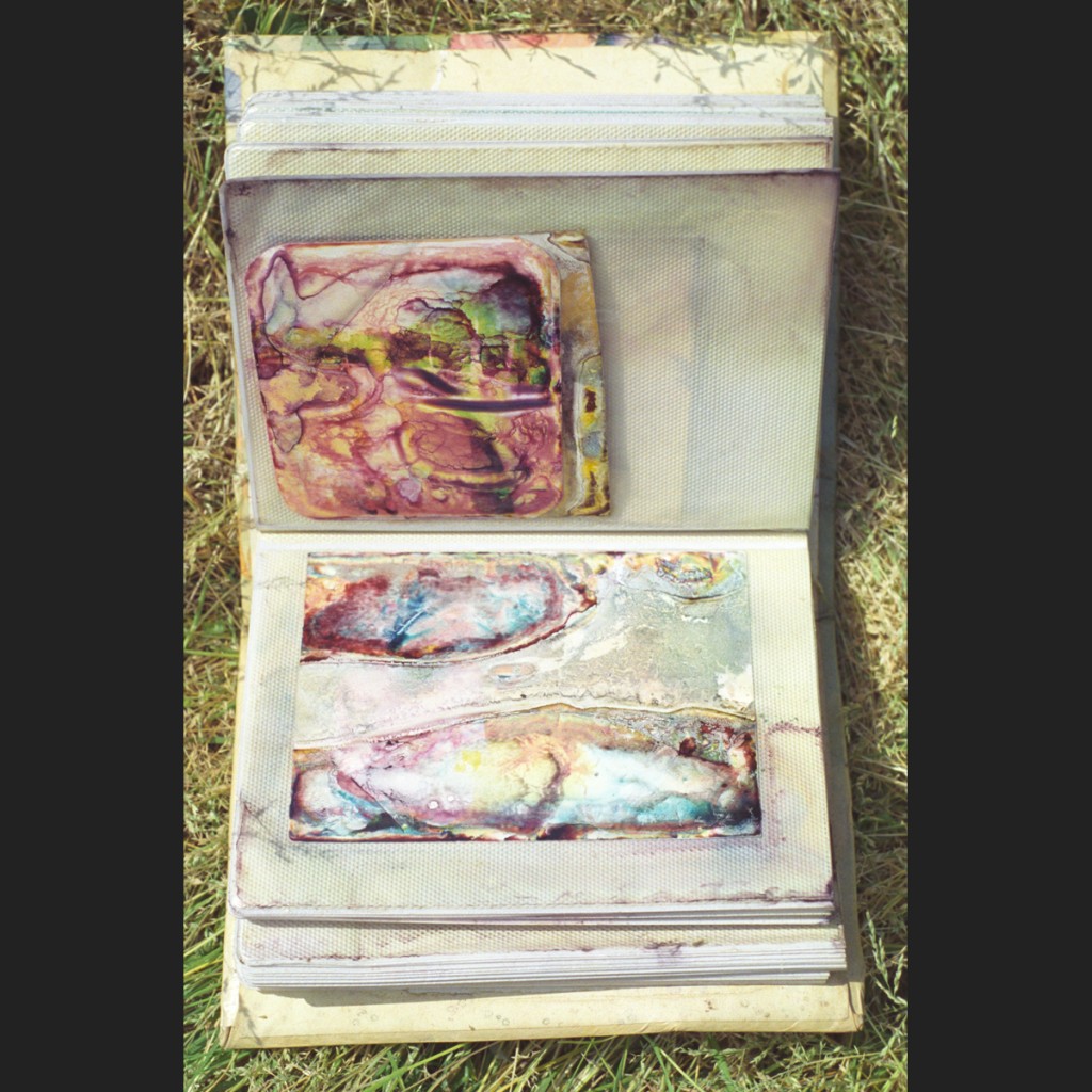 Image of a family photo album that has dissolved into colorful mold after Hurrican Katrina
