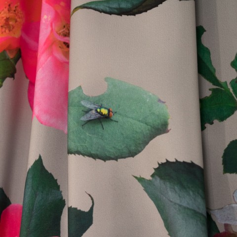 detail of a fly on a rose leaf in floral patterned fabric