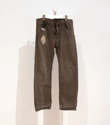 a pair of brown pants with leaves and a toad appliqued on them.
