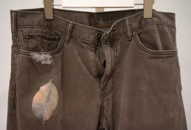 Detail of brown pants showing dusty leaves appliqued on the pocket