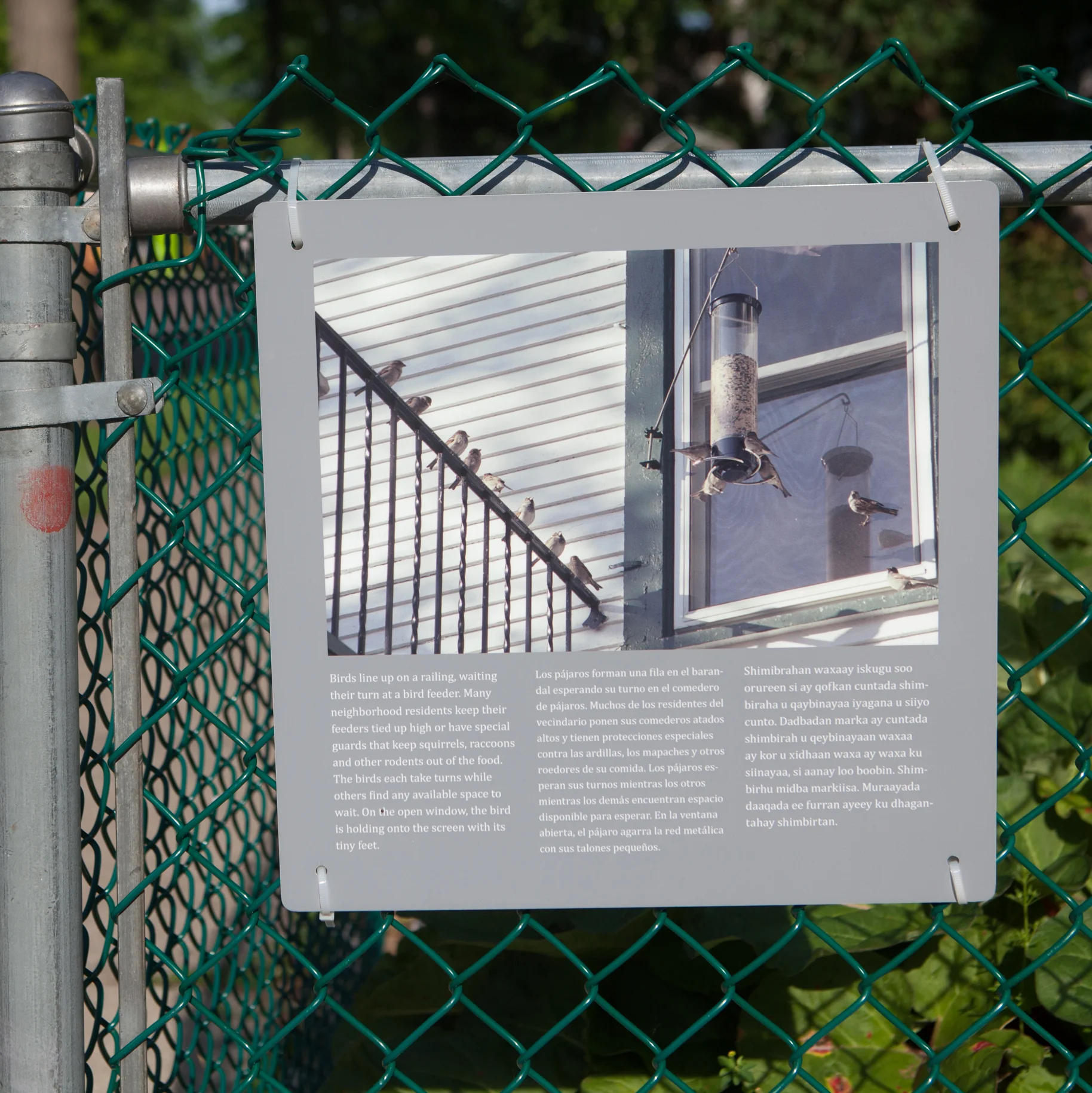 square sign with an image of birds at a bird feeder zip-tied to a fence