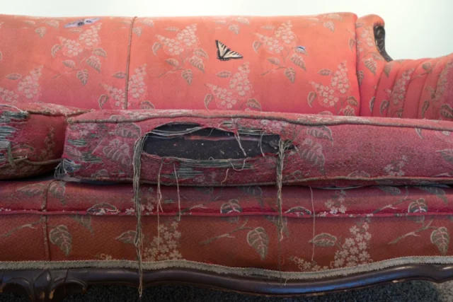 SLRogers_08170 copy A tattered old couch has tears in it's faded red fabric, which depicts flowers. The artist has appliqued on photos of insects, and a tear in the seat cusion reveals an image of a worm printed on fabric beneath