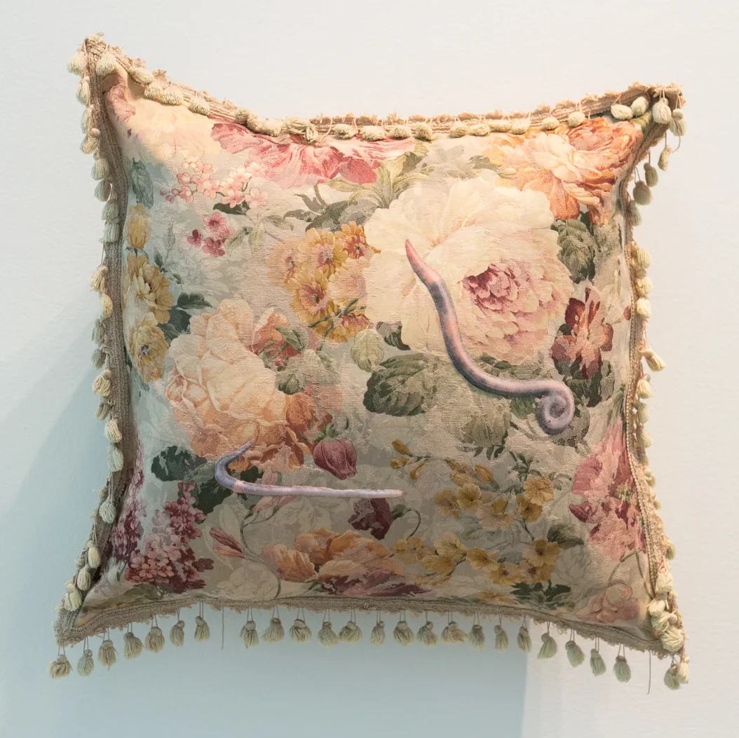 throw pillow with worm imagery appliqued on a vintage floral with tassels by Stephanie Lynn Rogers