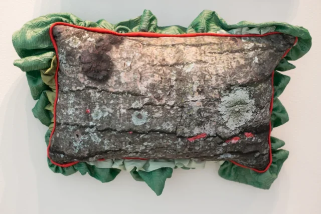 SLRogers_5556_Decorative_Arts A rectangular throw pillow is made of a photo of slime mold and bark on fabric. It has irregular piping the same coral pink as the slime mold and non-symmetrical ruffles the same blue-green color as the lichens