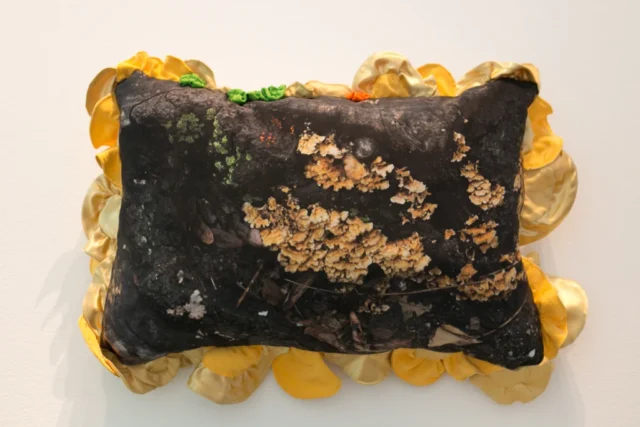 SLRogers_5557_Decorative_Arts A decorative throw pillow is made with a photo of fungus printed on fabric. The pillow is ringed with frilly ruffles the same shape and color as the fungus.