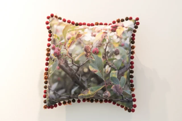 SLRogers_5561-Decorative-arts A throwpillow is made of fabric printed with an image of crabapples - both healthy red ones and others that have turned brown and have an orange fungal infection. The pillow is finished with pom pons that mimic the crab apples, including orange stringy things coming out of them.