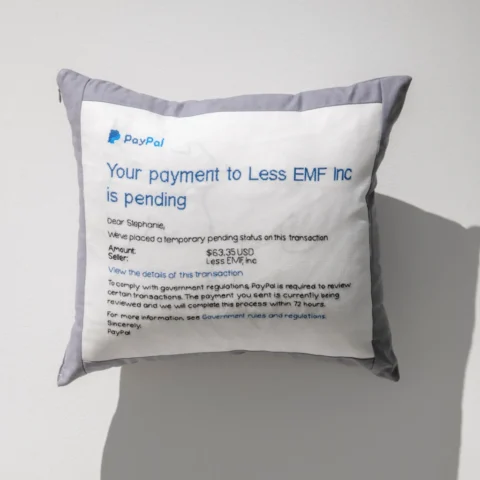 aov9_stephanierogers_dsc0207_31976249318_o A cross-stitched pillow showing an email from PayPal that reads "Your payment to Less EMF Inc is pending" which goes on to explain that an order is pending to comply with government regulations.